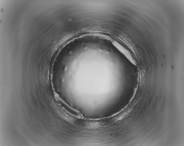 X0000086780301200704131221