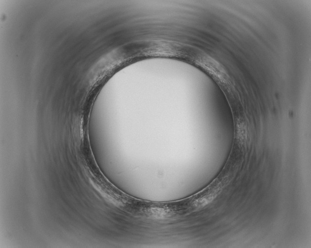 X0000086780302200704131221