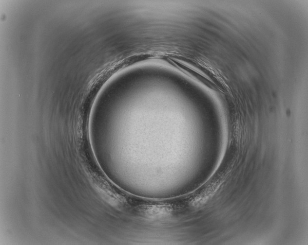 X0000086780303200704131221