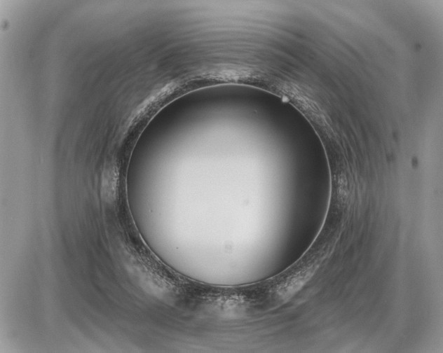 X0000086780304200704131221