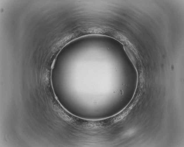 X0000086780305200704131221