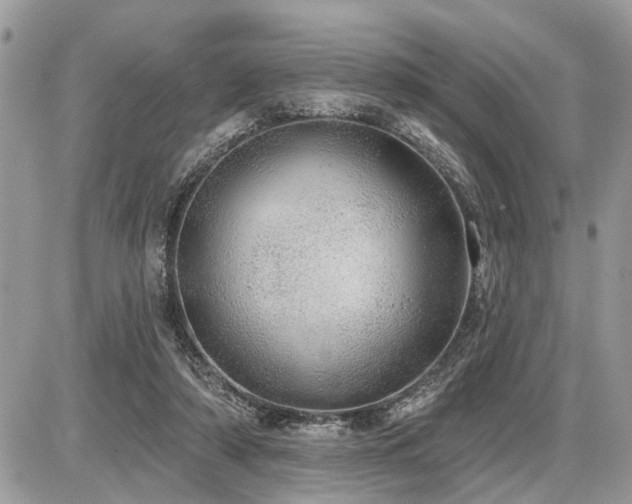 X0000086780306200704131221