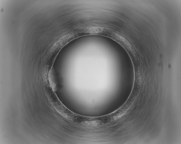 X0000086780307200704131221