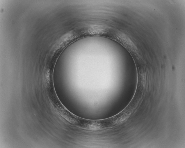 X0000086780308200704131221