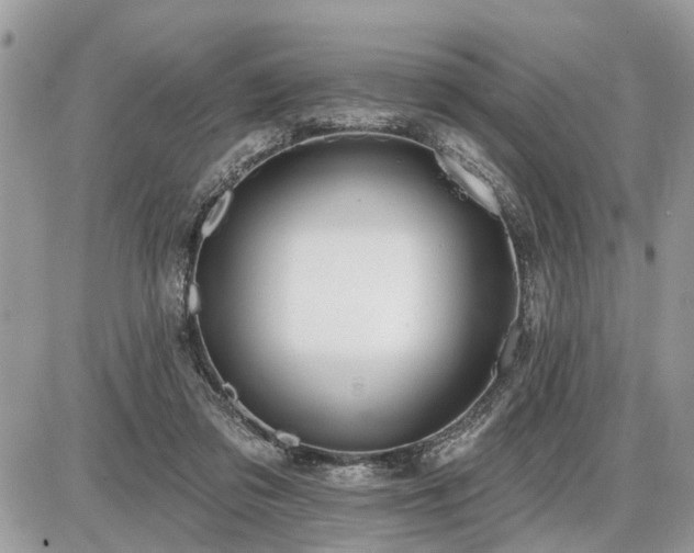 X0000086780309200704131221