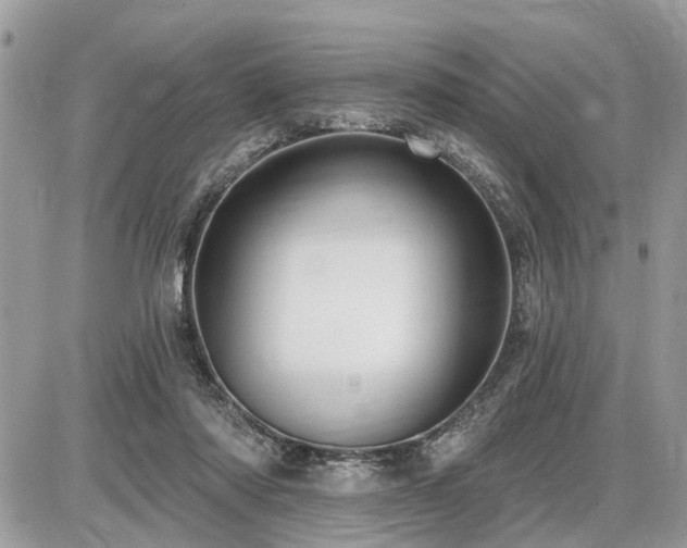 X0000086780310200704131221