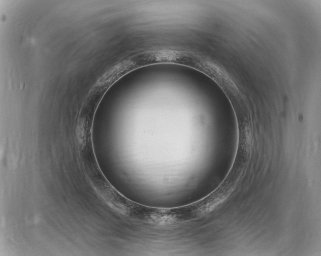 X0000086780311200704131221