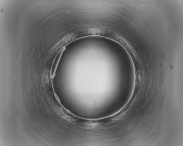 X0000086780313200704131221