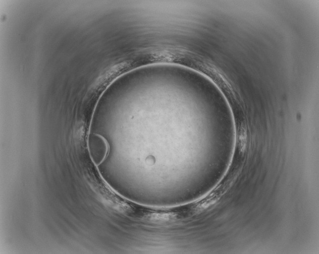 X0000086780314200704131221