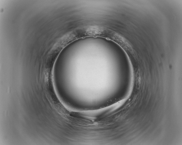 X0000086780315200704131221