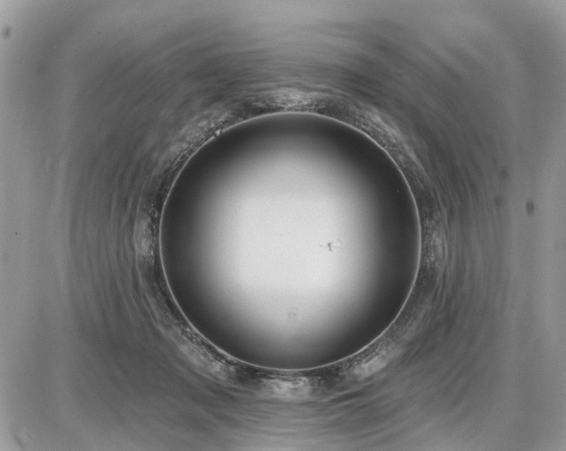 X0000086780317200704131221