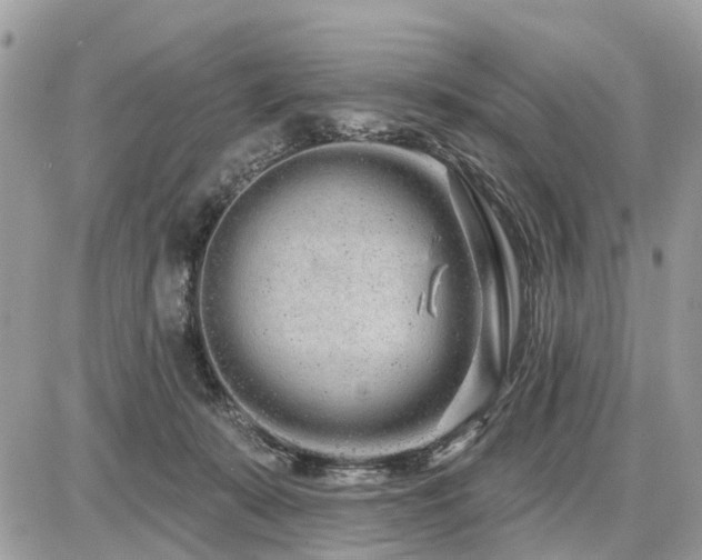 X0000086780319200704131221