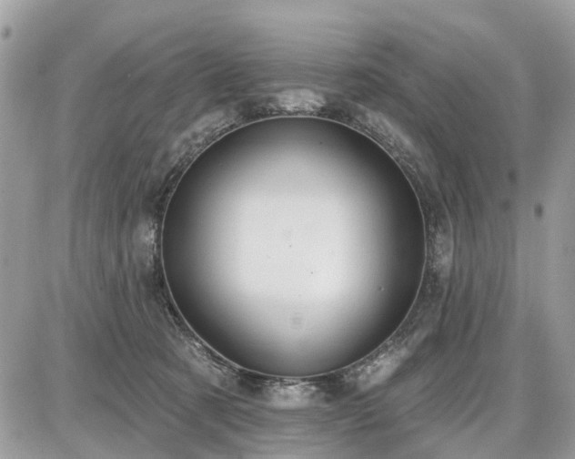 X0000086780321200704131221