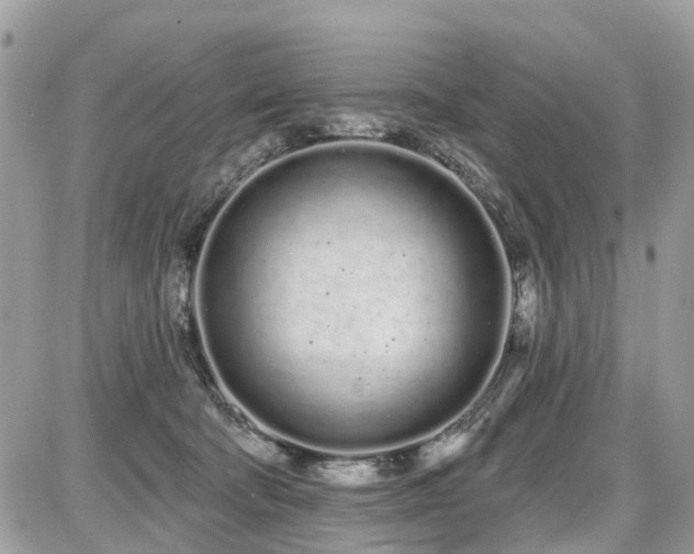 X0000086780322200704131221