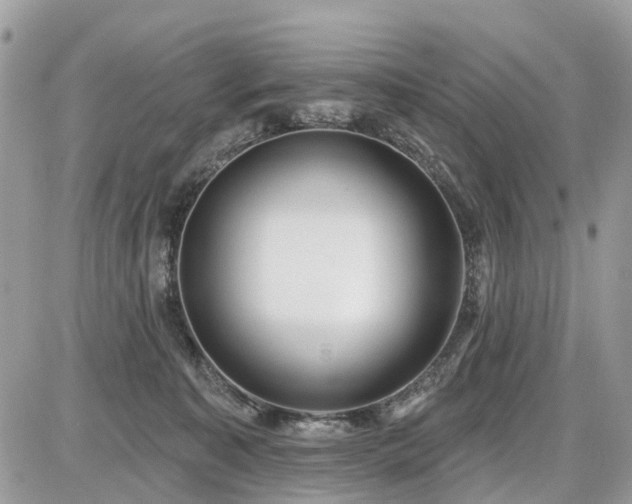 X0000086780323200704131221