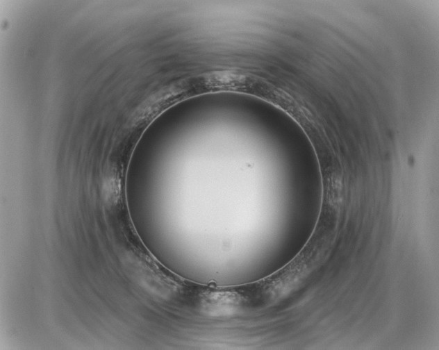 X0000086780324200704131221