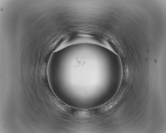 X0000086780325200704131221