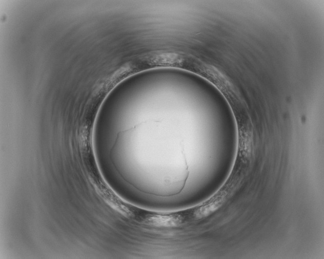 X0000086780326200704131221