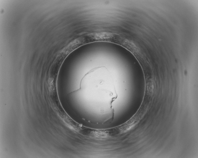 X0000086780327200704131221