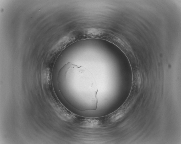 X0000086780328200704131221