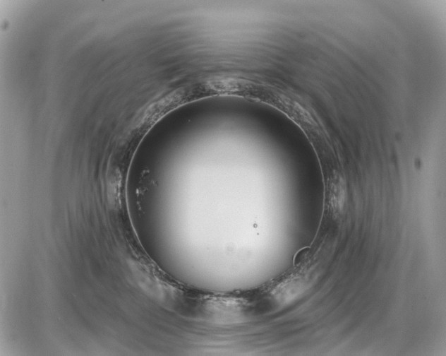 X0000086780332200704131221