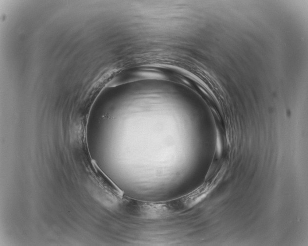 X0000086780333200704131221