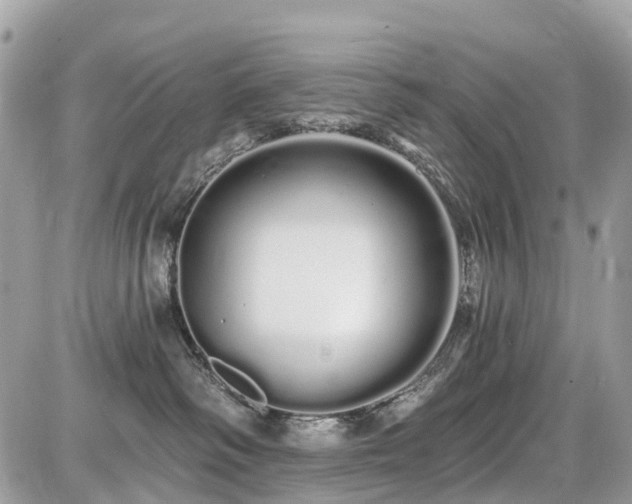 X0000086780334200704131221