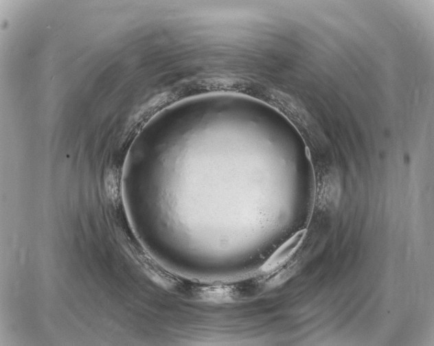 X0000086780335200704131221