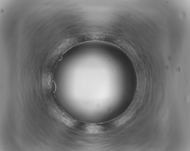 X0000086780336200704131220