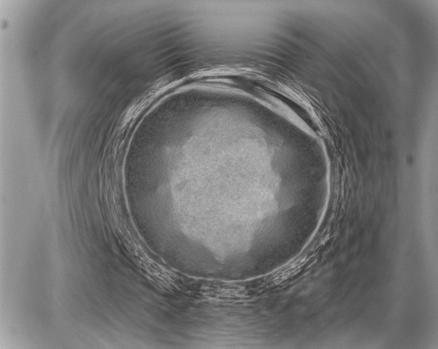 X0000086780337200704131220