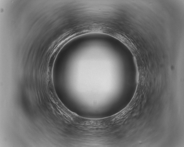 X0000086780338200704131220