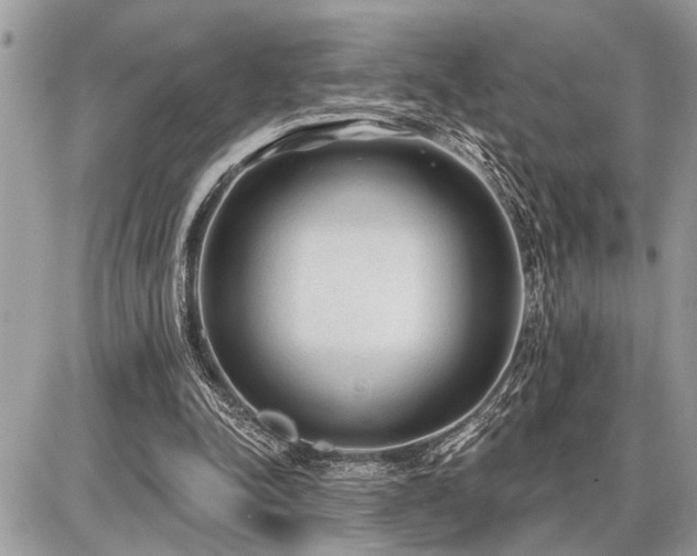 X0000086780342200704131220