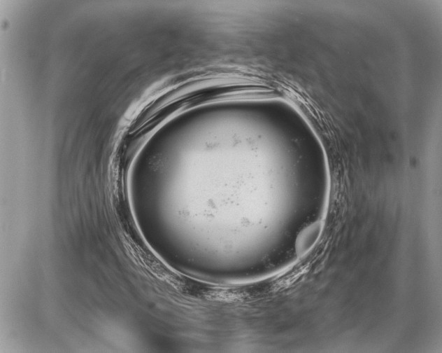 X0000086780343200704131220