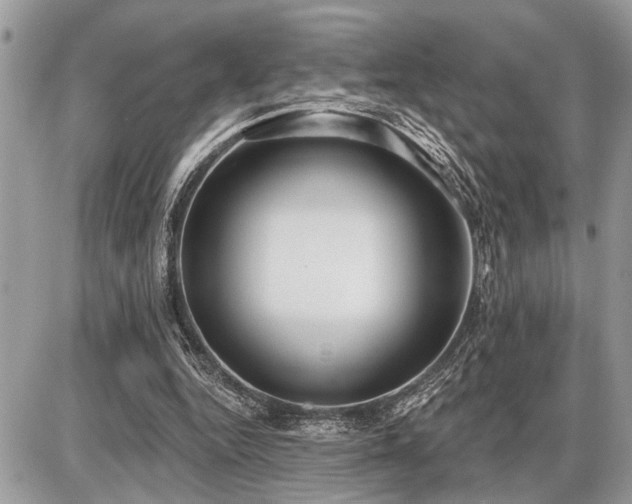 X0000086780344200704131220