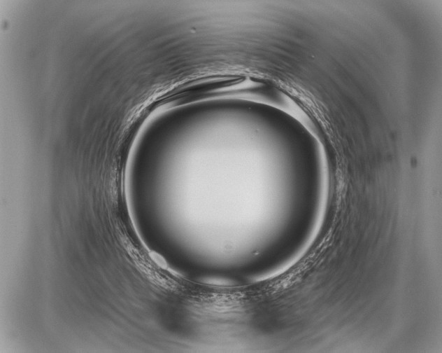 X0000086780345200704131220