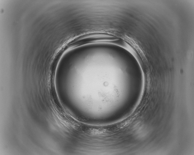 X0000086780346200704131220