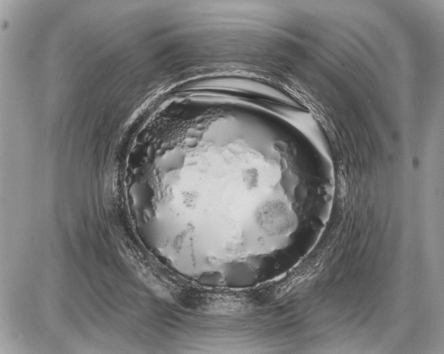 X0000086780347200704131220