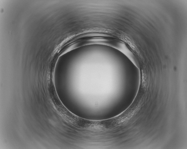 X0000086780348200704131220