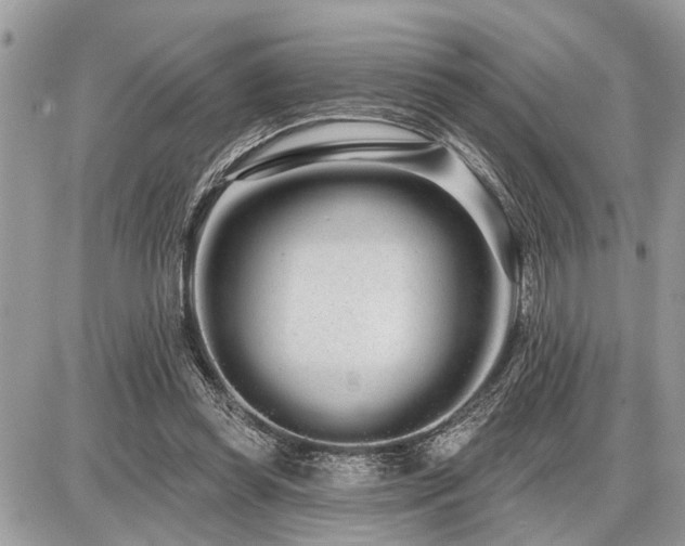 X0000086780349200704131220