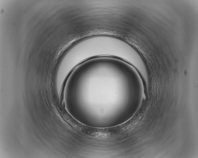 X0000086780352200704131220