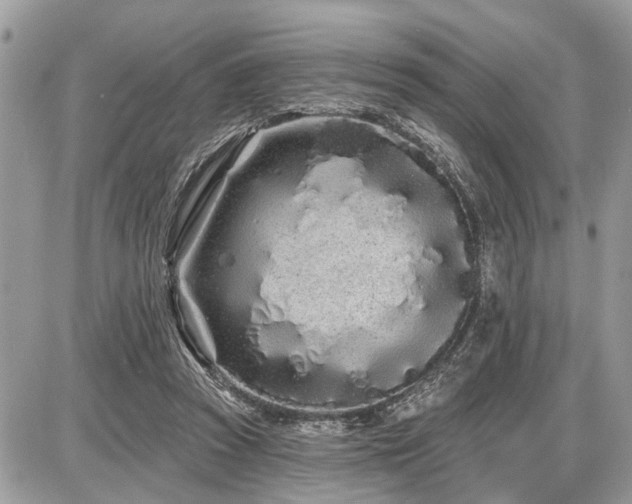 X0000086780353200704131220