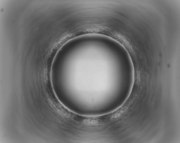 X0000086780354200704131220