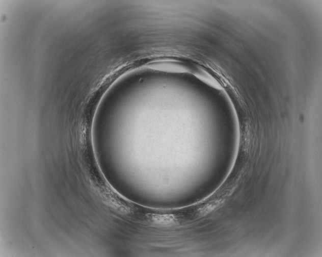 X0000086780355200704131220