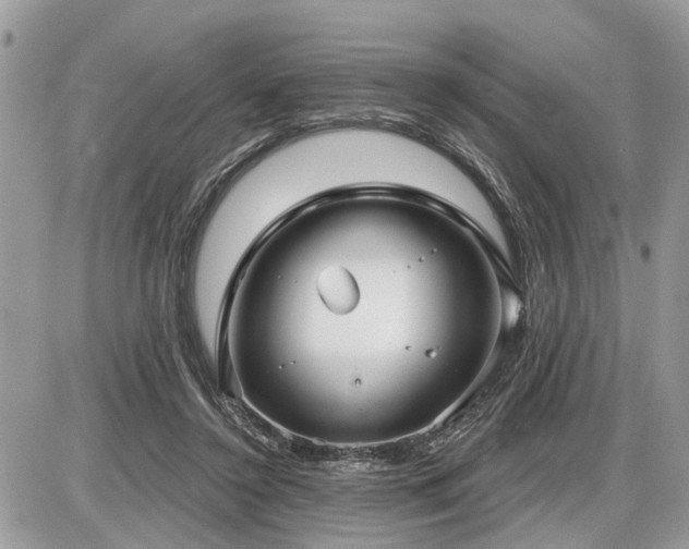 X0000086780356200704131220