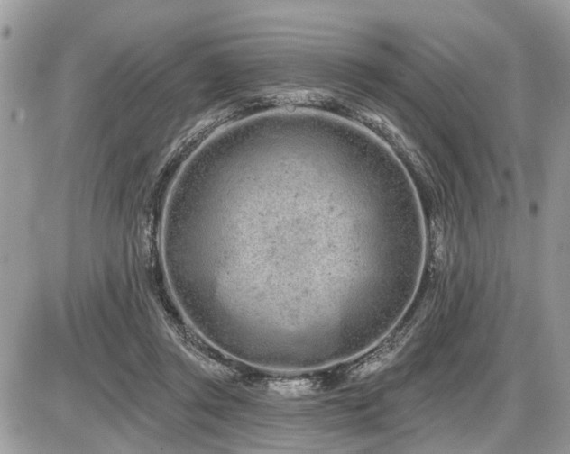 X0000086780357200704131220