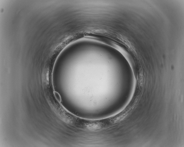 X0000086780358200704131220