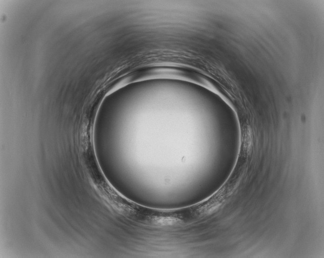 X0000086780360200704131220