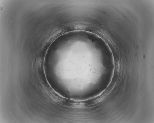 X0000086780363200704131220