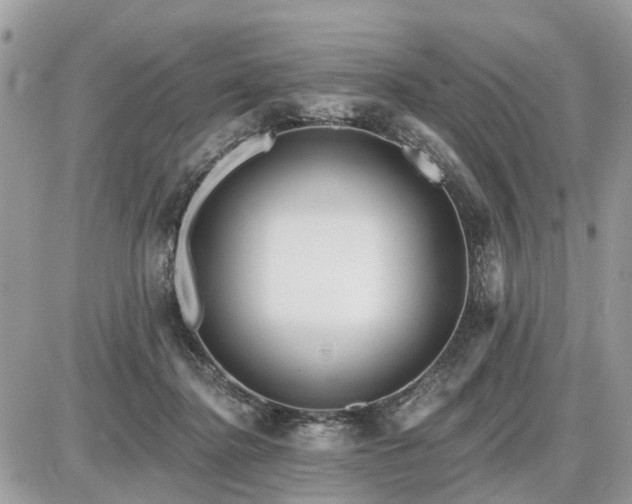 X0000086780364200704131220