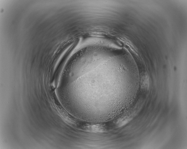 X0000086780365200704131220